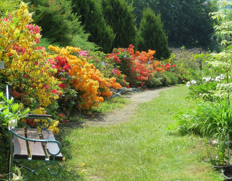 Gołubieński Botanical Garden, Poland